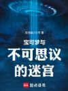 宝可梦与不可思议的迷宫
